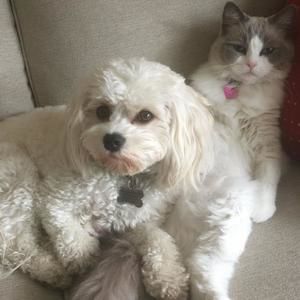 Meet your Posher, Annette